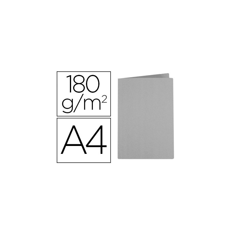 Subcarpeta liderpapel a4 gris 80g/m2